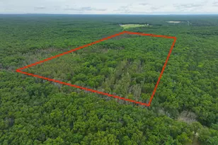 7376 W 7 Mile Rd, Irons, MI 49644 - Photo 1