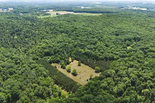 V/L 215th Ave, Stanwood, MI 49346 - Photo 1