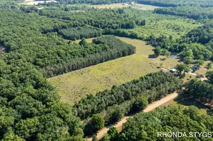 Vl 123rd Ave, Fennville, MI 49408 - Photo 1