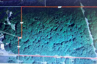 00 W Adams Rd, Pentwater, MI 49449 - Photo 1