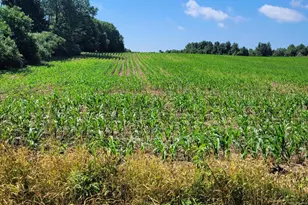 36th Ave, Paw Paw, MI 49079 - Photo 1