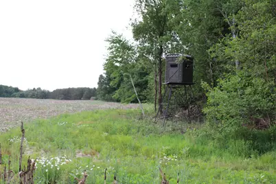 605 S Cook Avenue, Harrison, MI 48625 - Photo 1