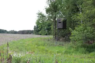 605 S Cook Ave, Harrison, MI 48625 - Photo 1