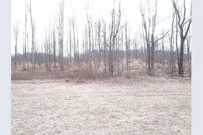 Chief ''c'' Road, Bear Lake, MI 49614 - Photo 1