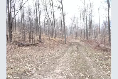 Chief ''d'' Road, Bear Lake, MI 49614 - Photo 1