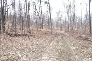 Chief ''d'' Rd, Bear Lake, MI 49614 - Photo 1