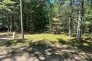 00 Hill Crest Blvd, Baldwin, MI 49304 - Photo 1