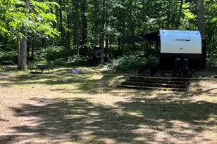 8913 W Toma Trail, Irons, MI 49644 - Photo 1