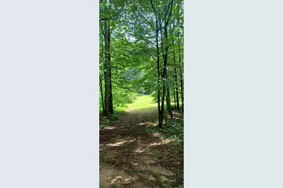 Collier Avenue, Battle Creek, MI 49017 - Photo 1