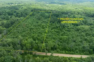 Parcel 'a' Deer Lake Rd, Harrison, MI 48625 - Photo 1