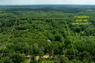 Vl Deer Lake Rd, Harrison, MI 48625 - Photo 1