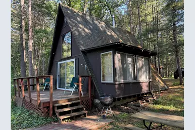 8160 W River Road, Irons, MI 49644 - Photo 1