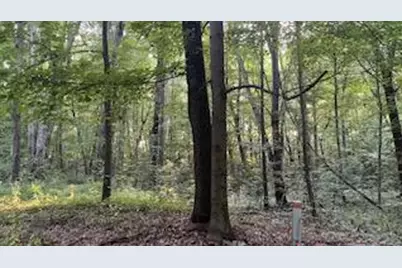Romeyn Woods #Lot 2, Middleville, MI 49333 - Photo 1