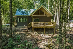 17728 Indian Village Rd, Big Rapids, MI 49307 - Photo 1