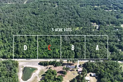 Par C W Almy Road, Howard City, MI 49329 - Photo 1