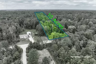 3162 S Alamando Road, Saint Louis, MI 48880 - Photo 1