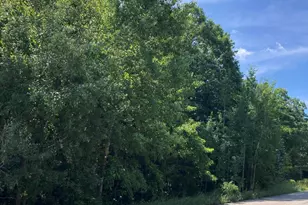 4360 Duck Creek Ln, Whitehall, MI 49461 - Photo 1