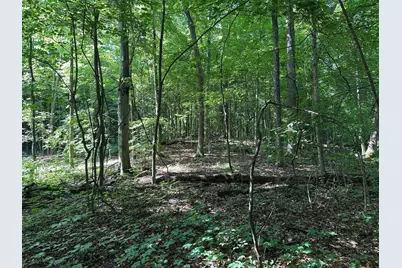 0 M-60, Cassopolis, MI 49031 - Photo 1