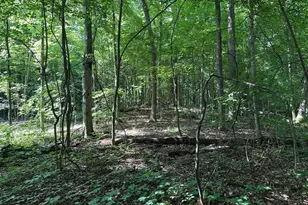 0 M-60, Cassopolis, MI 49031 - Photo 1