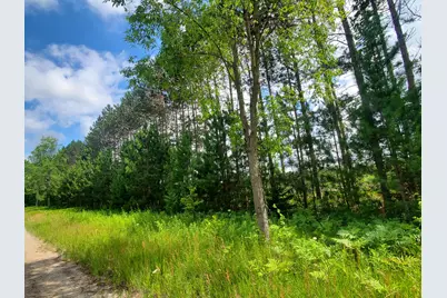 80 Acres Beall Road, Bear Lake, MI 49614 - Photo 1