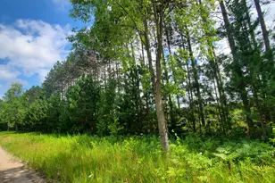 80 Acres Beall Rd, Bear Lake, MI 49614 - Photo 1