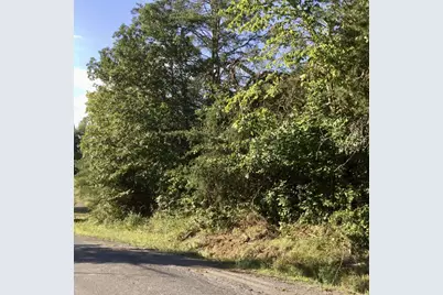 Pine Lake Road, Battle Creek, MI 49014 - Photo 1