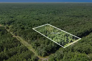 Lot E Hayes Rd, Mecosta, MI 49332 - Photo 1