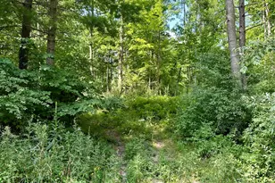 V/L E Decker Rd, Branch, MI 49402 - Photo 1