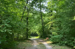 9190 Ferris Ave, Bitely, MI 49309 - Photo 1