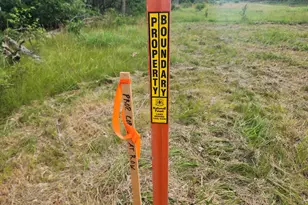 Parcel D W 16th St, Baldwin, MI 49304 - Photo 1