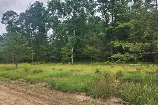 Parcel B W 16th St, Baldwin, MI 49304 - Photo 1