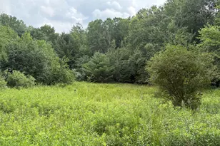 11546 E 3 1/2 Mile Rd, Luther, MI 49656 - Photo 1