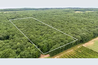 V/L W Woodrow Road, Shelby, MI 49455 - Photo 1