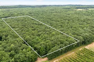 V/L W Woodrow Rd, Shelby, MI 49455 - Photo 1