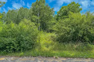 11580 Tanglewood Trail S, Canadian Lakes, MI 49346 - Photo 1