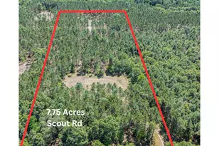 7 75 Acres Scout Rd, Mears, MI 49436 - Photo 1