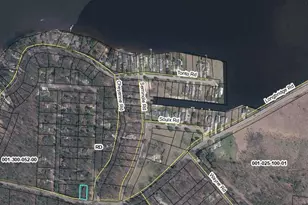 Lot 105 Crow Ln, Pentwater, MI 49449 - Photo 1