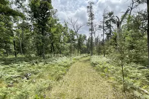 00 W 10 Mile Rd, Irons, MI 49644 - Photo 1