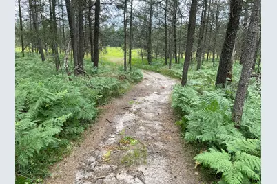 00 E 10 Mile Road #Parcel G-2, Irons, MI 49644 - Photo 1