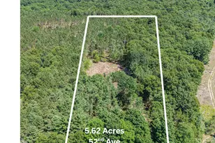 Parcel E 52nd Ave, Mears, MI 49436 - Photo 1