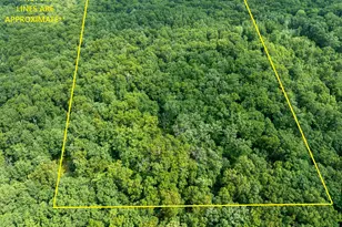 6946 W 7 Mile Rd, Irons, MI 49644 - Photo 1