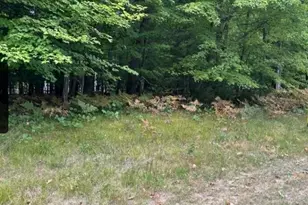 7250 Oak Meadow Dr, Twin Lake, MI 49457 - Photo 1