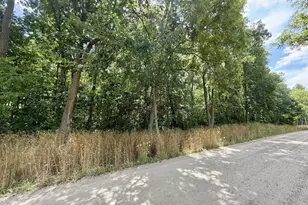 8875 S West County Line Rd, Greenville, MI 48838 - Photo 1