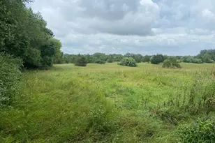 0 Phal Rd, Grass Lake, MI 49240 - Photo 1