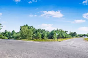 16568 Mitchell Crk Trl Lot 28, Big Rapids, MI 49307 - Photo 1