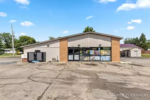 1036 W Lincoln Ave, Ionia, MI 48846 - Photo 1