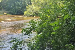 1258 N Birch St, White Cloud, MI 49349 - Photo 1