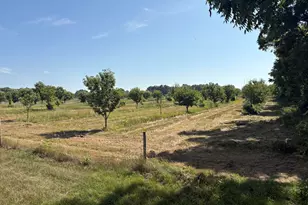 Leach Rd Rd, Dowagiac, MI 49047 - Photo 1