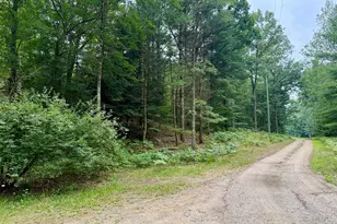 1 Wayne, Pentwater, MI 49449 - Photo 1