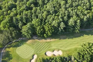 12905 Bowen Lake Dr, Gowen, MI 49326 - Photo 1